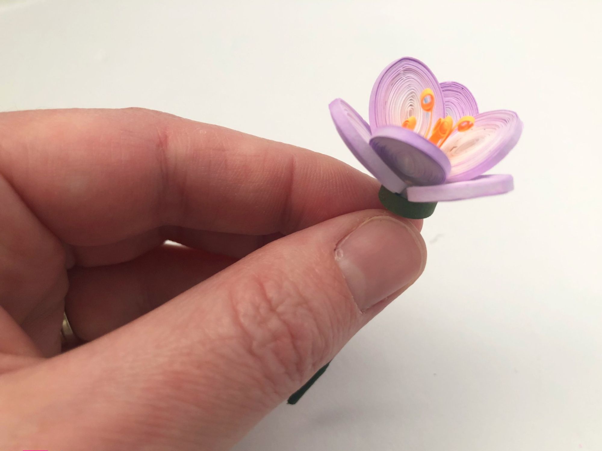 Hướng dẫn làm cành hoa bằng nghệ thuật quilling